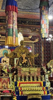 Parinirvana-2024-14